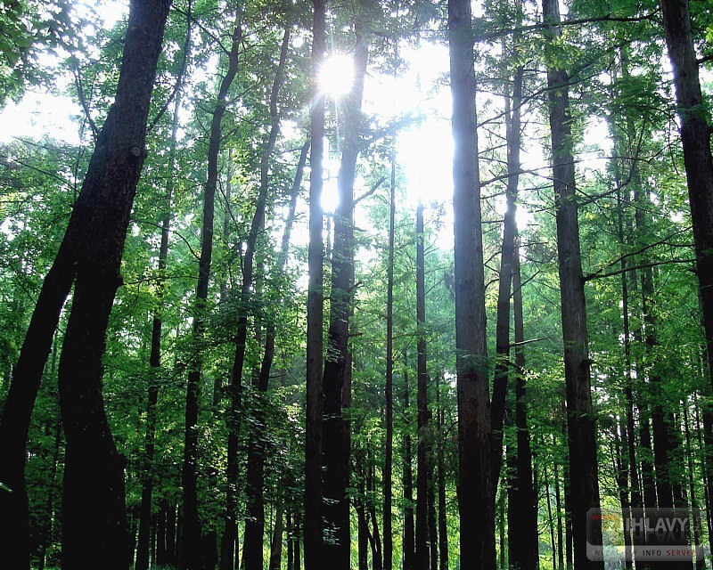 Kliknutím zavřete fotografii a vrátíte se na předchozí stránku