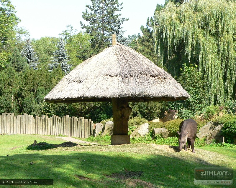 Kliknutím zavřete fotografii a vrátíte se na předchozí stránku