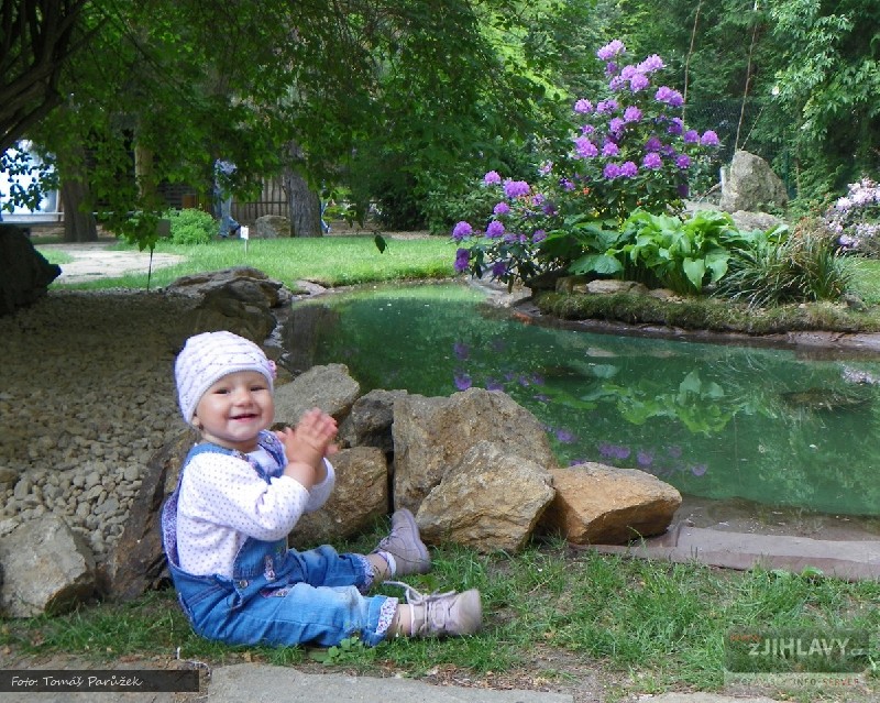 Kliknutím zavřete fotografii a vrátíte se na předchozí stránku