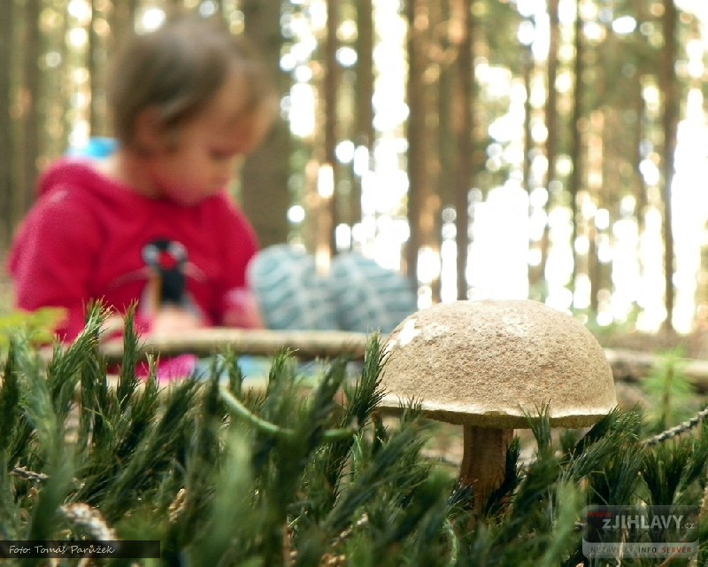 Kliknutím zavřete fotografii a vrátíte se na předchozí stránku