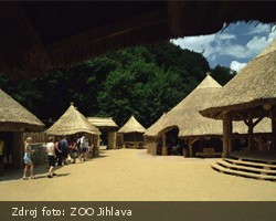 ZOO Jihlava, vesnice Matongo