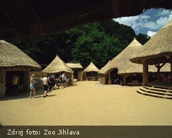 Zoo Jihlava Matongo