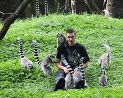 Krmení lemurů v Jihlavě