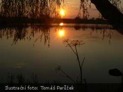 Rybník, západa slunce, strom