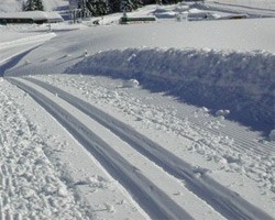 Běžecká stopa na Vysočině