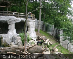 Medvědinec v jihlavské zoo