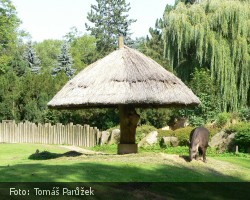 ZOO Jihlava - Babí léto 2012