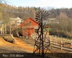 Australská famra v Jihlavské ZOO