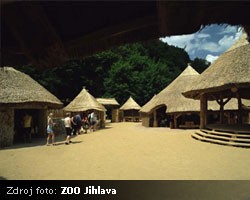 ZOO Jihlava - Vesnice Matongo